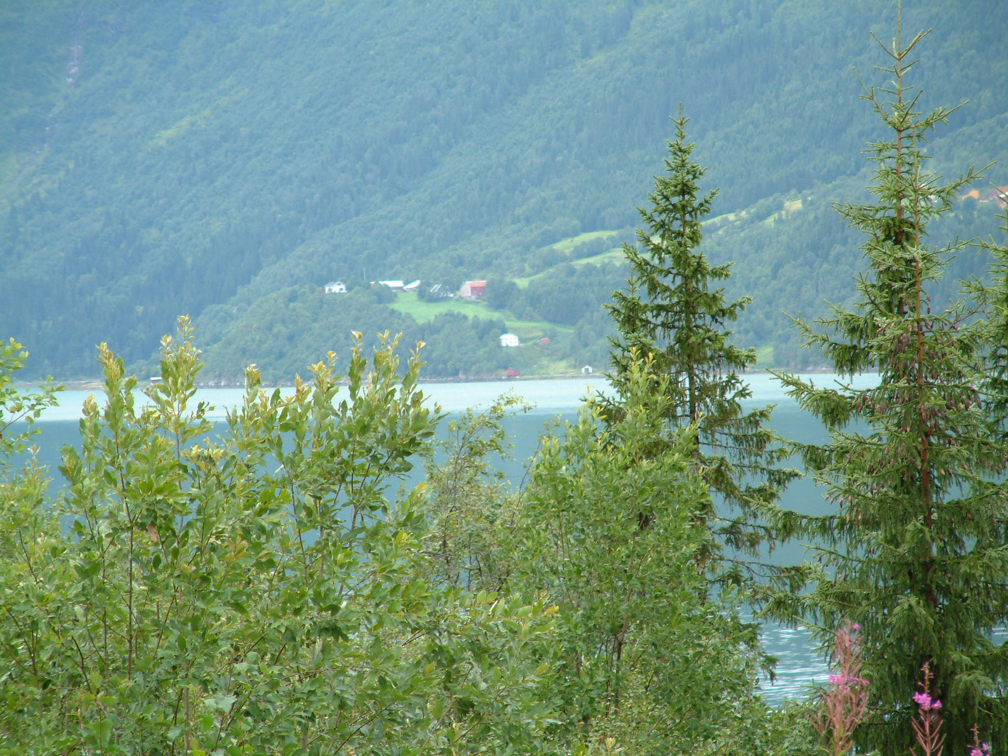 20020731_0030