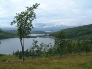 20020731_0080