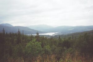 20020731_0128